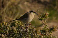 Alice Springs Desert Park Entrance